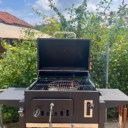 Il Baco Da Seta Sale San Giovanni