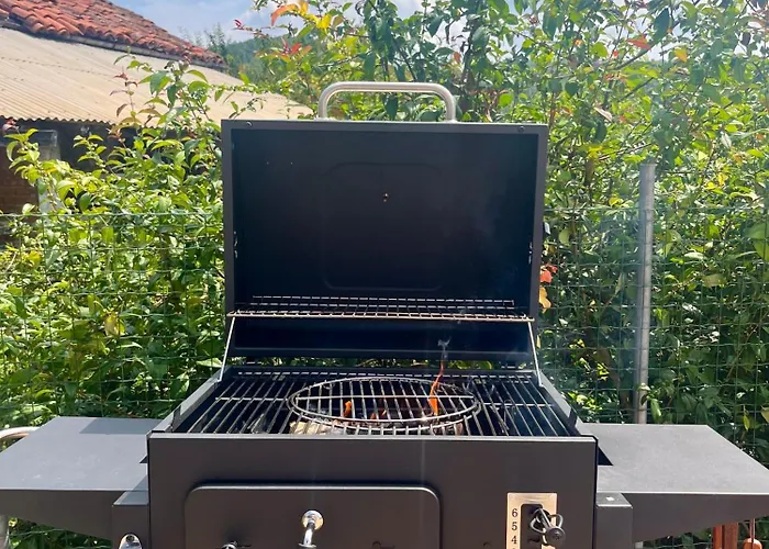 Il Baco Da Seta Sale San Giovanni